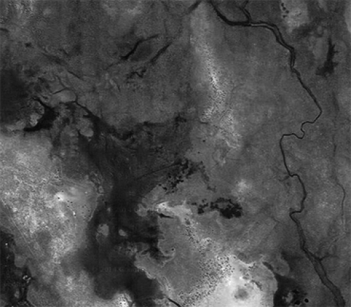 Aerial view of habitat of Macroglossum Stellatarum: Hummingbird hawk-moth